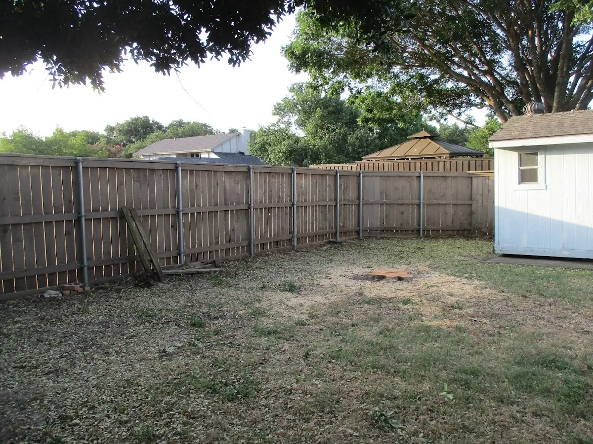 Cleared yard after professional tree removal in Pendleton